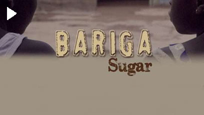 bariga-sugar408-x-230